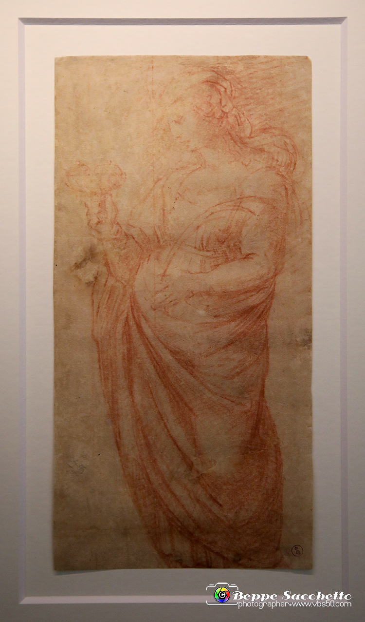 VBS_0020 - Mostra Nel segno di Raffaello.jpg